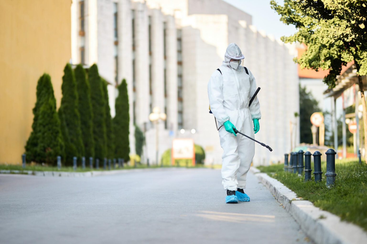 Tratamiento de insectos para restaurantes y viviendas en Toledo